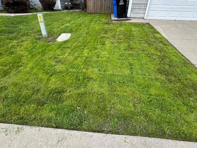 Lawn care service in Elk Grove, 95758