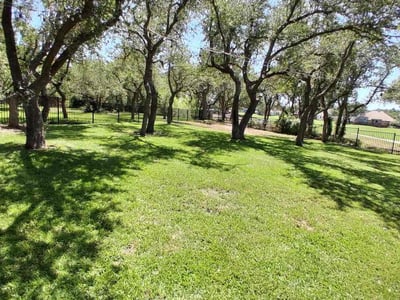 Lawn care service in Round Rock, 78664