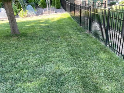 Lawn care service in Hamilton, 45011