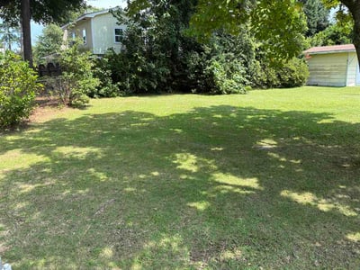 Lawn care service in Florence, 29501