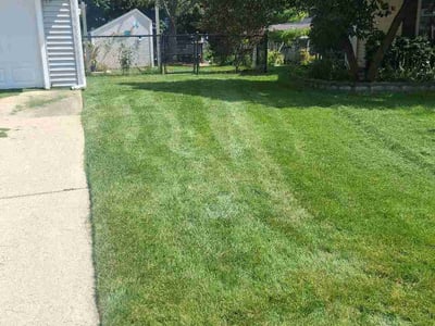Lawn care service in Elgin, 60123
