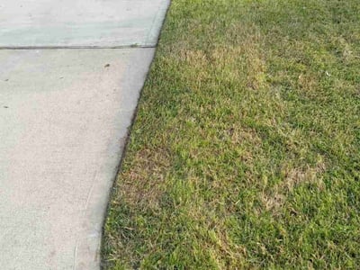 Lawn care service in Houston, 77044