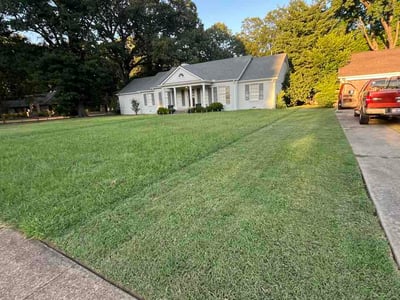 Lawn care service in Memphis, 38117