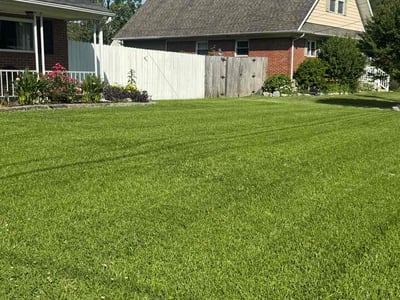 Lawn care service in Virginia Beach, 23462