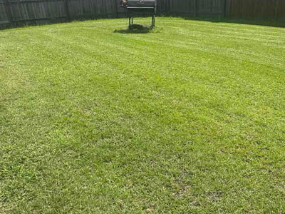 Lawn care service in Moncks Corner, 29461