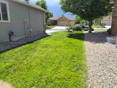 Lawn care service in Colorado Springs, 80925