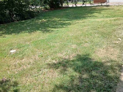 Lawn care service in St. Louis, 63125