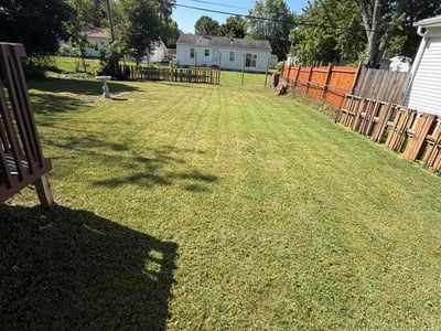 Lawn care service in Lansing, 48911