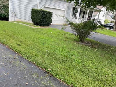 Lawn care service in Woodbridge, 22193