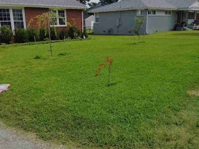 Lawn care service in Portsmouth, 23701