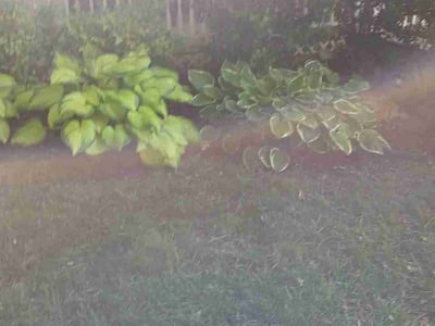 Lawn care service in Norman, 73071