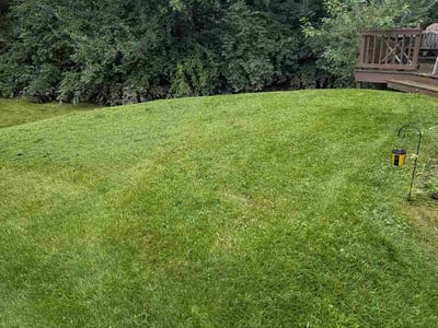 Lawn care service in Indianapolis, 46256