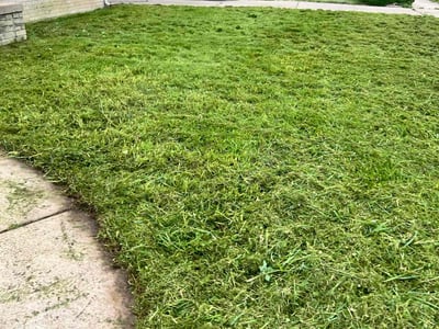 Lawn care service in Inkster, 48141