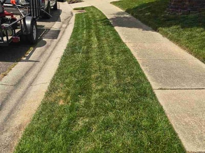 Lawn care service in Midlothian, 23112