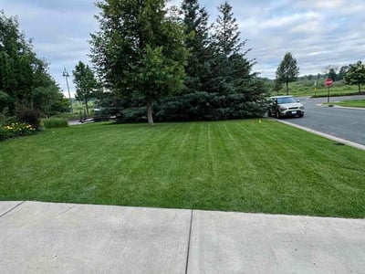 Lawn care service in Blaine, 55449