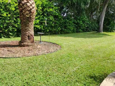 Lawn care service in The Villages, 32162