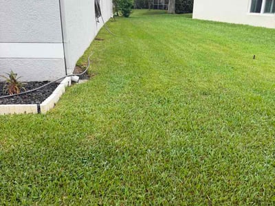 Lawn care service in Tampa, 33647