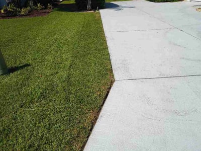 Lawn care service in Ormond Beach, 32174