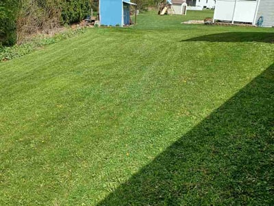 Lawn care service in Janesville, 53546