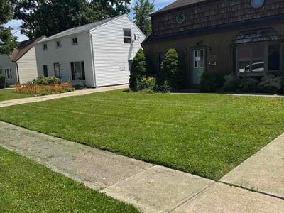 Lawn care service in Euclid, 44132
