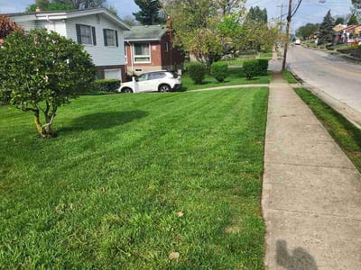 Lawn care service in Cincinnati, 45248