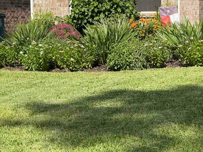 Lawn care service in Humble, 77346