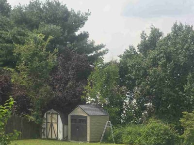 Lawn care service in Gloucester Township, 08081