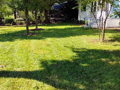 Lawn care service in Durham, 27707