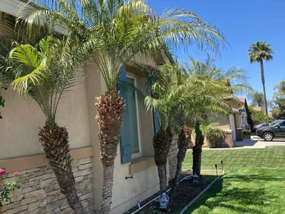 Lawn care service in Menifee, 92584