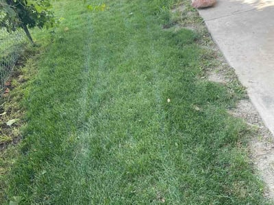 Lawn care service in Millcreek, 84106