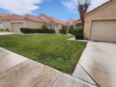 Lawn care service in Las Vegas, 89123