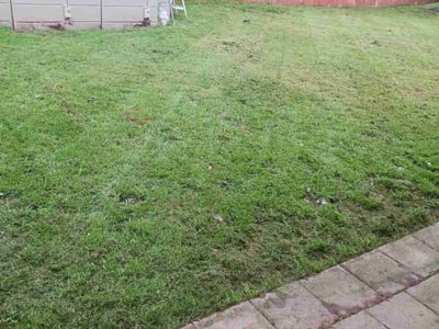 Lawn care service in Everman, 76140