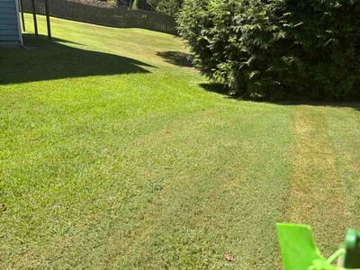 Lawn care service in Woodstock, 30189