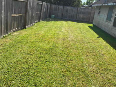Lawn care service in Friendswood, 77546