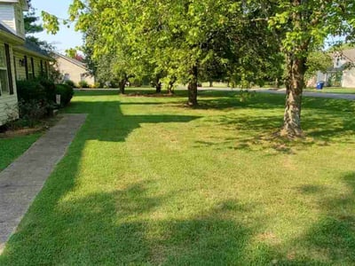 Lawn care service in Smyrna, 37167
