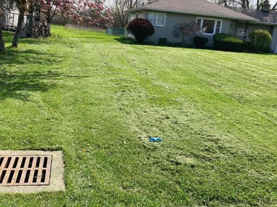 Lawn care service in Grand Island, 14072
