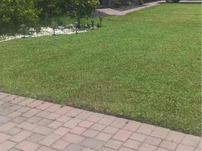 Lawn care service in St. Cloud, 34771