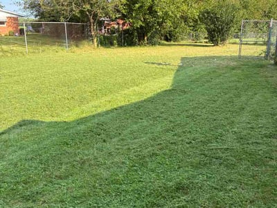 Lawn care service in Dayton, 45426