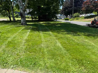 Lawn care service in Meriden, 06450