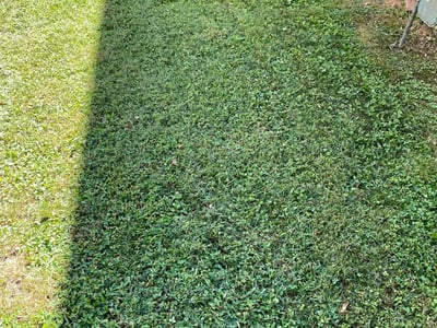 Lawn care service in Nashville, 37076