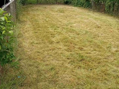 Lawn care service in Toledo, 43607