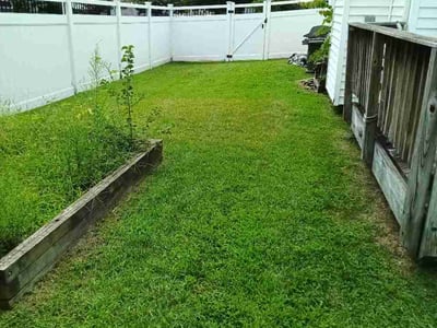 Lawn care service in Severn, 21144