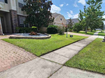 Lawn care service in Orlando, 32828