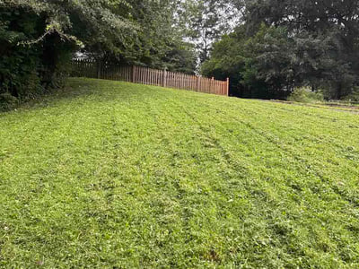 Lawn care service in Decatur, 30035