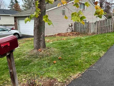 Lawn care service in Sterling, 20164