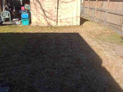 Lawn care service in , 