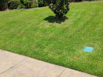 Lawn care service in Mobile, 36619