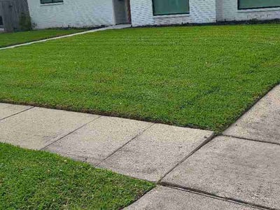 Lawn care service in Houston, 77042