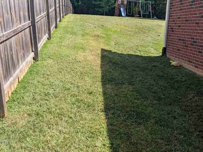 Lawn care service in Nashville, 37207