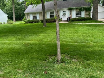 Lawn care service in Wauwatosa, 53226